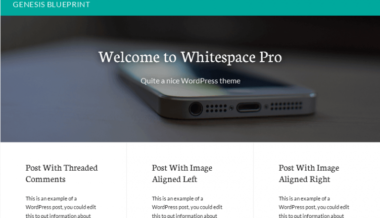 Removing the post info from Whitespace Pro